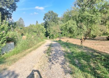 Casa indipendente Frazione Sessant, 312, frazione Sessant, Asti - foto 16