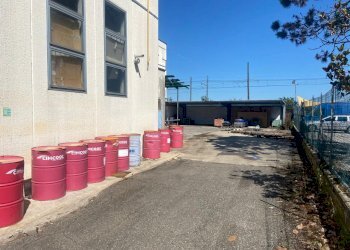 Capannone Novellara - foto 1