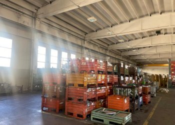 Capannone Novellara - foto 3