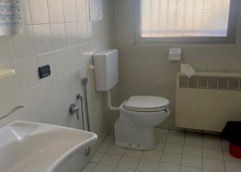 Capannone Novellara - foto 4