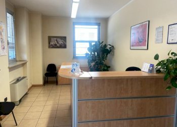 Capannone Novellara - foto 9