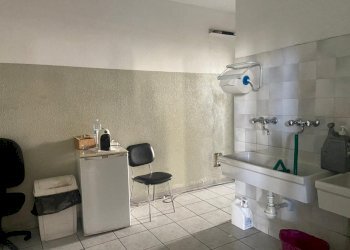 Capannone Novellara - foto 12