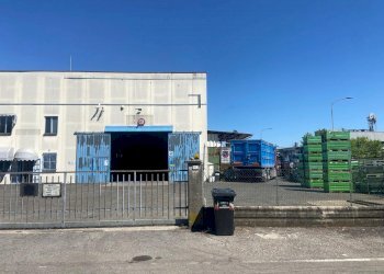 Capannone Novellara - foto 13