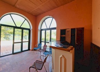 20240827_100143.jpg - Villa Strada Amelia-Giove 38, Amelia - photo 23