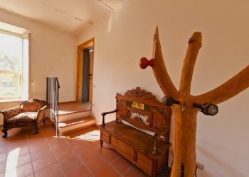 20240827_100225.jpg - Villa Strada Amelia-Giove 38, Amelia - photo 27