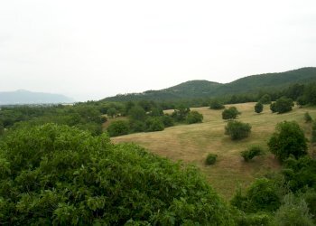 DSCN1903.JPG - Casale località la selve  snc, Guardea - foto 6