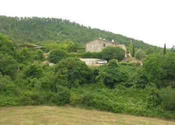 DSCN1919.JPG - Casale località la selve  snc, Guardea - foto 8