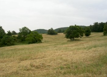 DSCN1925.JPG - Casale località la selve  snc, Guardea - foto 9