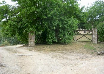 DSCN1951.JPG - Casale località la selve  snc, Guardea - foto 10