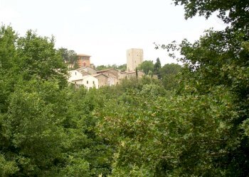 DSCN1957.JPG - Casale località la selve  snc, Guardea - foto 12