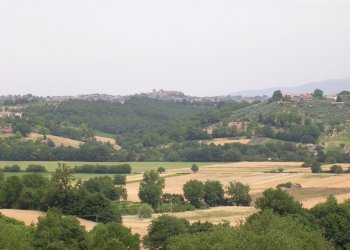 DSCN1960.JPG - Casale località la selve  snc, Guardea - foto 13