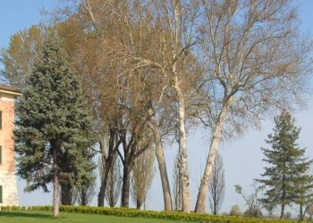 Ufficio Anzola dell'Emilia - foto 1