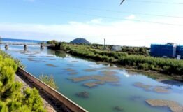 Appartamento Albenga - foto 2