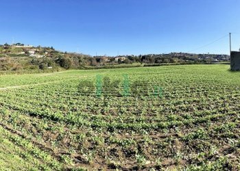 Rustico Via Cigliano, Pozzuoli - foto 2