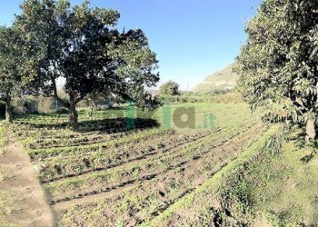 Rustico Via Cigliano, Pozzuoli - foto 3