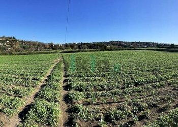 Rustico Via Cigliano, Pozzuoli - foto 6