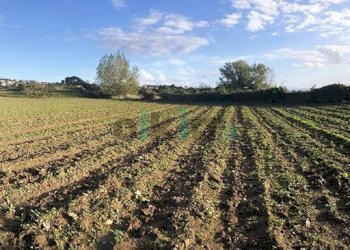 Rustico Via Cigliano, Pozzuoli - foto 12