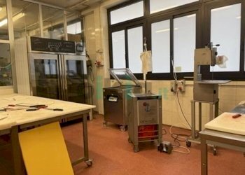 Macelleria - Salumeria piazza Bengasi 18, Torino (zona Mirafiori Sud - V. onorato vigliani) - foto 6