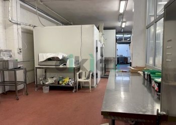 Macelleria - Salumeria piazza Bengasi 18, Torino (zona Mirafiori Sud - V. onorato vigliani) - foto 9