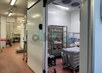 Macelleria - Salumeria piazza Bengasi 18, Torino (zona Mirafiori Sud - V. onorato vigliani) - foto 11