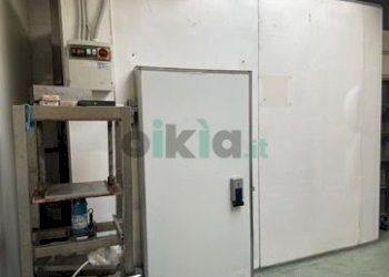 Macelleria - Salumeria piazza Bengasi 18, Torino (zona Mirafiori Sud - V. onorato vigliani) - foto 12