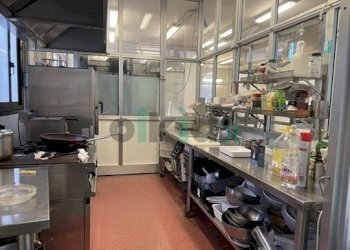 Macelleria - Salumeria piazza Bengasi 18, Torino (zona Mirafiori Sud - V. onorato vigliani) - foto 16