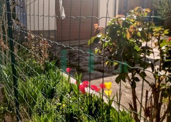 Casa indipendente via tenente martini, Saliceto - foto 17