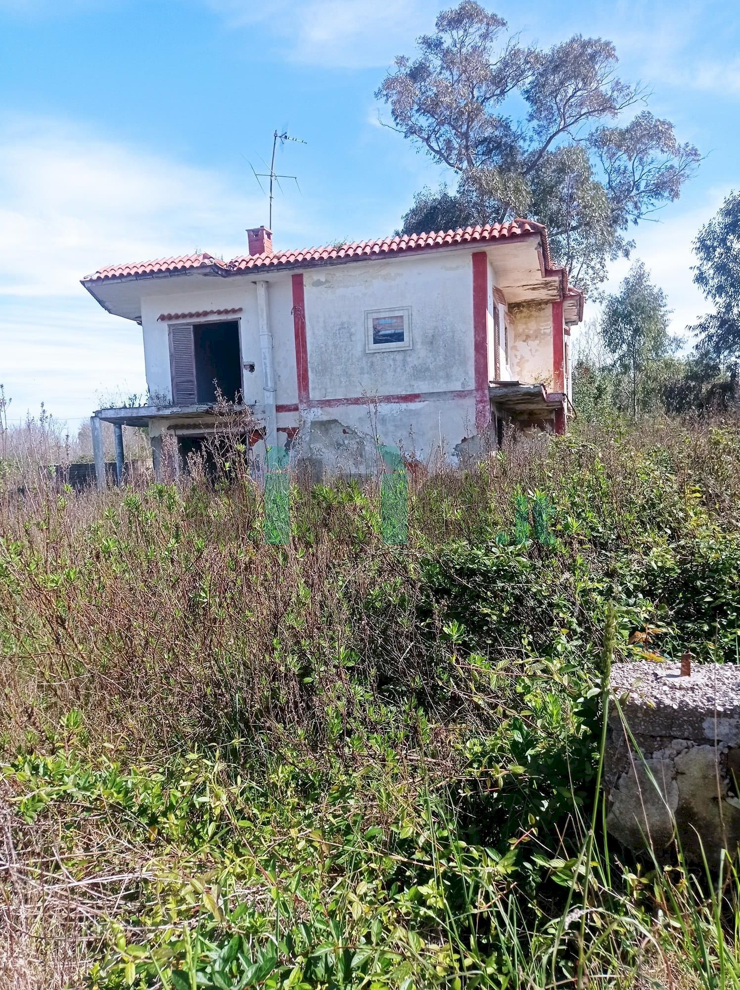 Rustico Pescopagano, Mondragone - foto 2