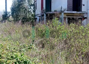 Rustico Pescopagano, Mondragone - foto 5