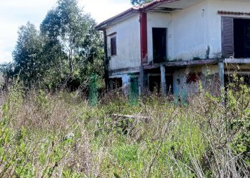 Rustico Pescopagano, Mondragone - foto 10