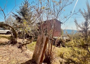 IMG_4318.jpg - Rustic Fosdinovo - photo 3