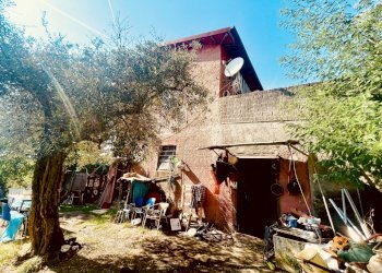 IMG_4333.jpg - Rustic Fosdinovo - photo 4