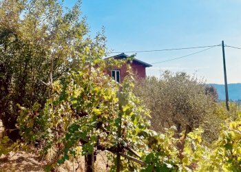 IMG_4316.jpg - Rustic Fosdinovo - photo 5