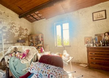 IMG_4323.jpg - Rustic Fosdinovo - photo 10