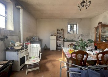 IMG_4328.jpg - Rustic Fosdinovo - photo 11