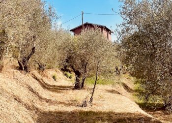 IMG_4313.jpg - Rustic Fosdinovo - photo 13