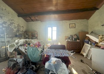 IMG_4325.jpg - Rustic Fosdinovo - photo 15