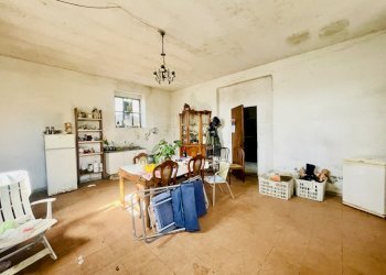 IMG_4329.jpg - Rustic Fosdinovo - photo 17