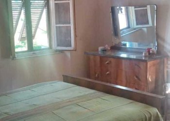 IMG-20240527-WA0055.jpg - Villa Via di Sant'Andrea, Lucca - foto 5