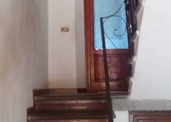 IMG-20240527-WA0043.jpg - Villa Via di Sant'Andrea, Lucca - foto 12