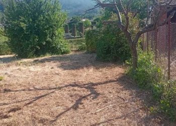 IMG-20240527-WA0020.jpg - Villa Via di Sant'Andrea, Lucca - foto 13