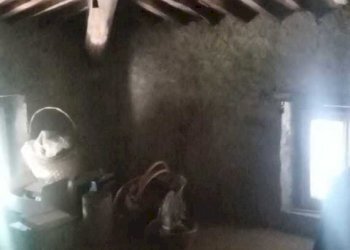 IMG-20240527-WA0052.jpg - Villa Via di Sant'Andrea, Lucca - foto 26