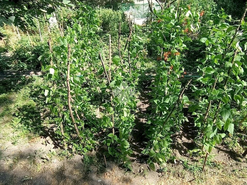 Rustico Località barche, Fénis - foto 3