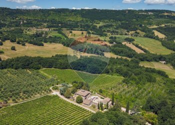 Agriturismo STRADA DEL LAPONE, Orvieto - photo 7