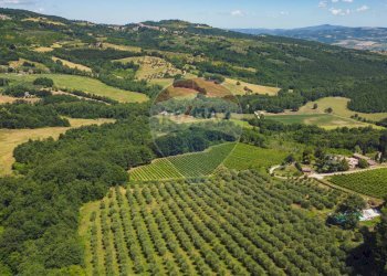 Agriturismo STRADA DEL LAPONE, Orvieto - photo 8