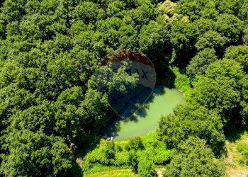 Agriturismo STRADA DEL LAPONE, Orvieto - photo 11