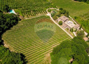 Agriturismo STRADA DEL LAPONE, Orvieto - photo 12