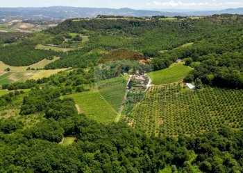 Agriturismo STRADA DEL LAPONE, Orvieto - photo 14