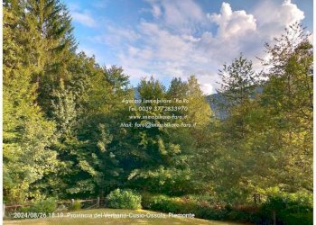 Vista - Villa via Melezzo Santa Maria Maggiore, 39, Craveggia - foto 2