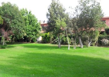 IMG-20240903-WA0023.jpg - Villa Torre di Maremma, Montalto di Castro - foto 26